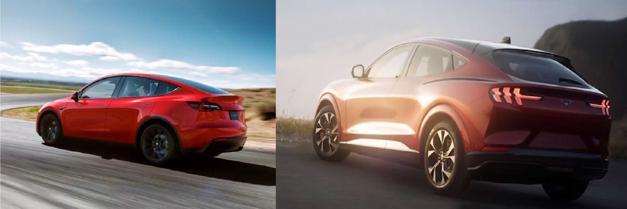 Mustang Mach-E vs. Tesla Model Y: Ein detaillierter Vergleich