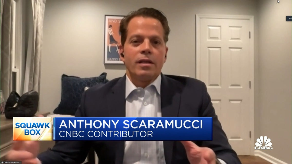 Tesla TSLA Shorts Should Duck the Spaceship: SkyBridge Capital's Anthony Scaramucci Takes a Drive