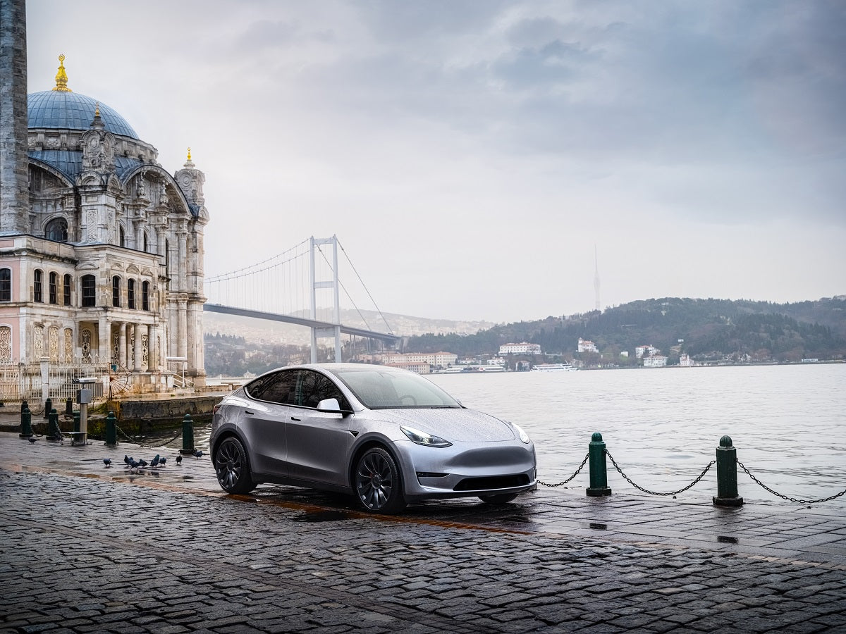 Tesla Celebrates Delivery of 50,000 Cars in Denmark