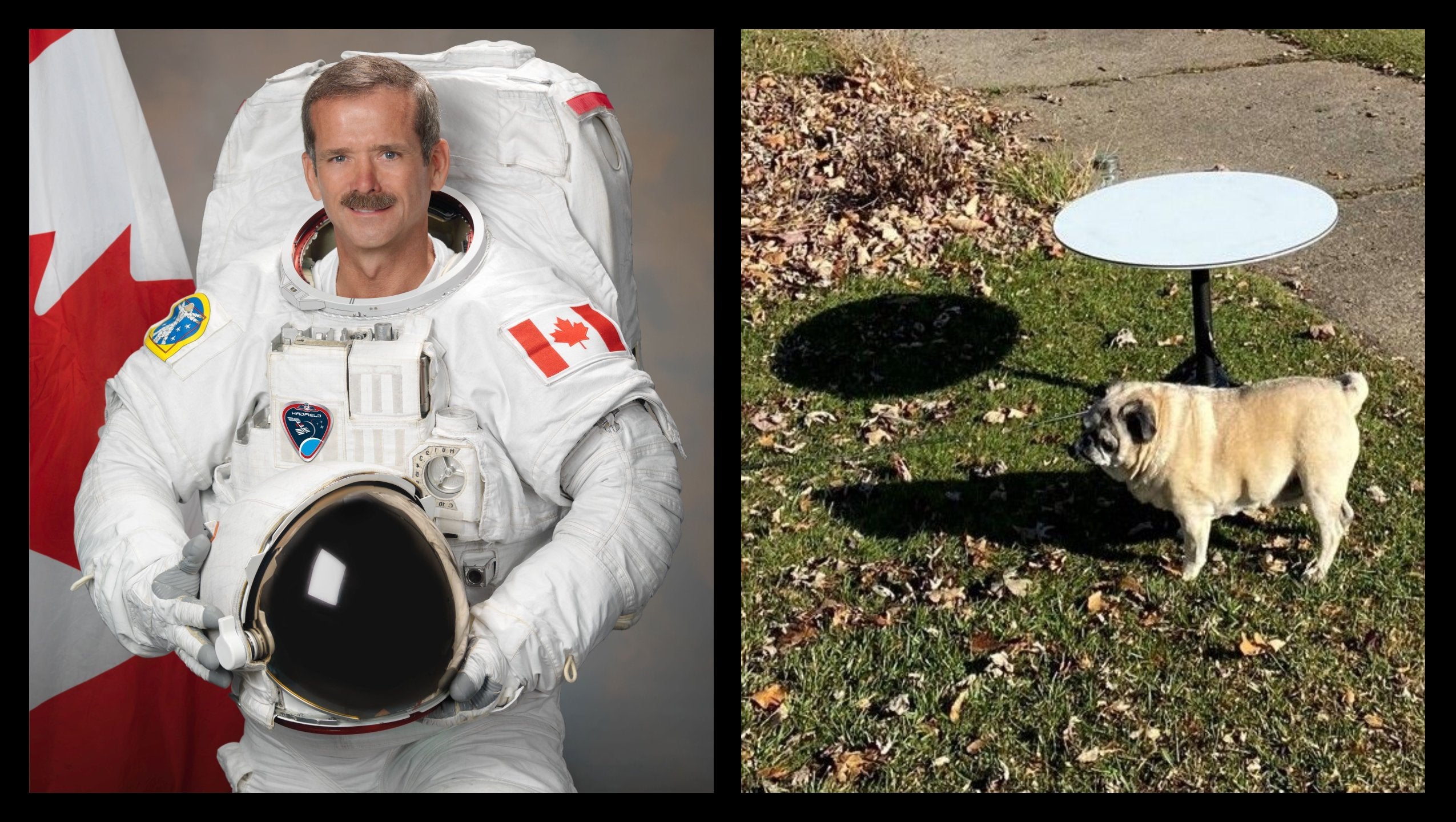 Former Canadian Astronaut is a SpaceX Starlink Internet Beta Tester