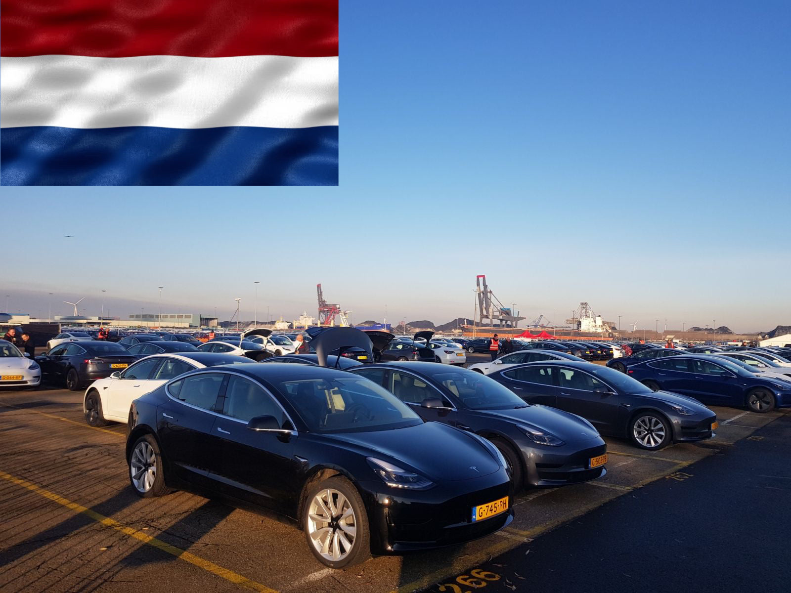 Today, happy owners pick up their Teslas in Netherlands