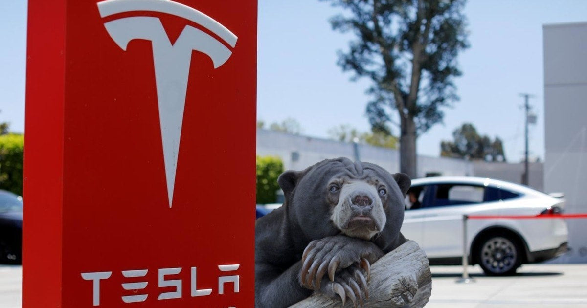 Tesla short sellers lose $ 8 billion over the past seven months