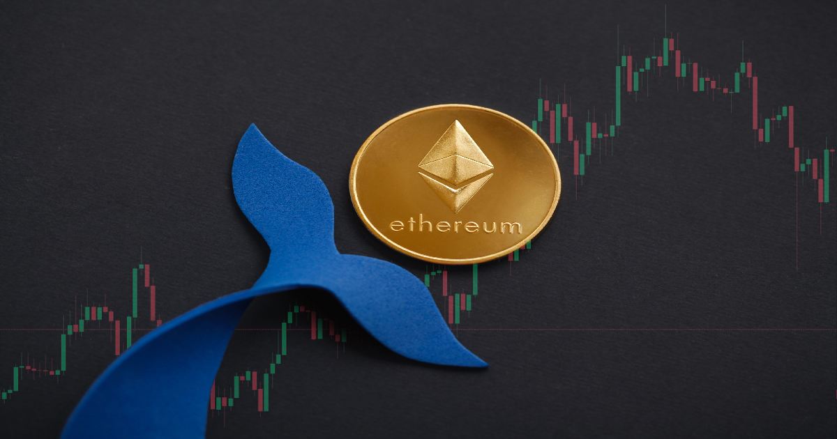 Ethereum Whales & Sharks Are Increasing Their Crypto Holdings, Says Santiment