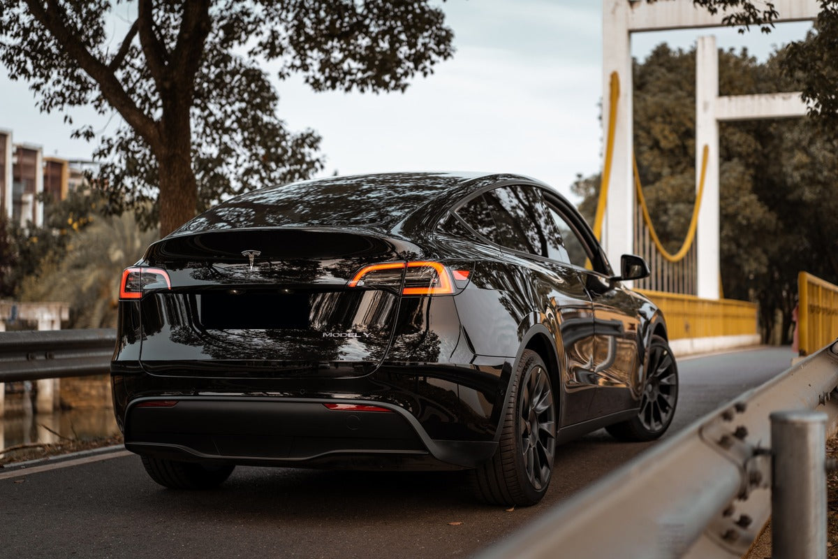 Tesla Model Y Became the Netherlands’ Best-Selling Car in March