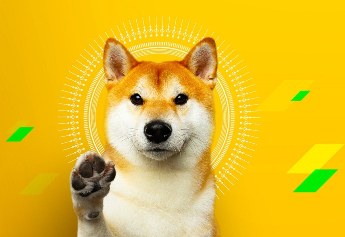 Dogecoin Is More Useful than Cardano, Mark Cuban Claims