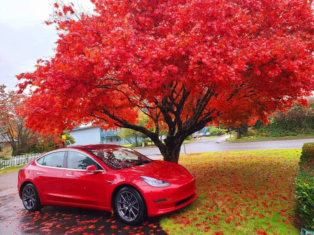 Tesla Model 3 Is Best-Selling EV in Switzerland, with Market Share of 14% in 2020