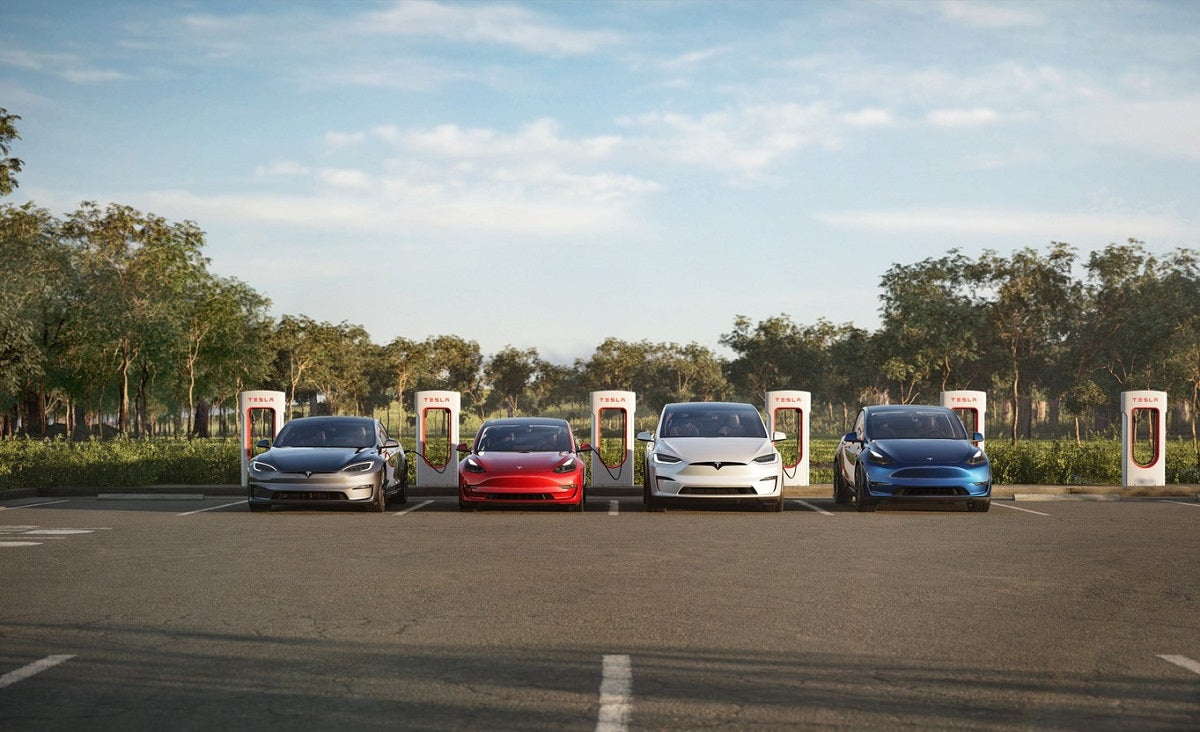 Tesla Has Highest Brand Loyalty in Industry, Says Citi