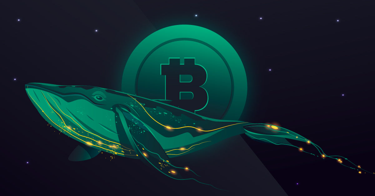 Third-Largest Bitcoin Whale Wallet Just Bought 321 BTC for $13M