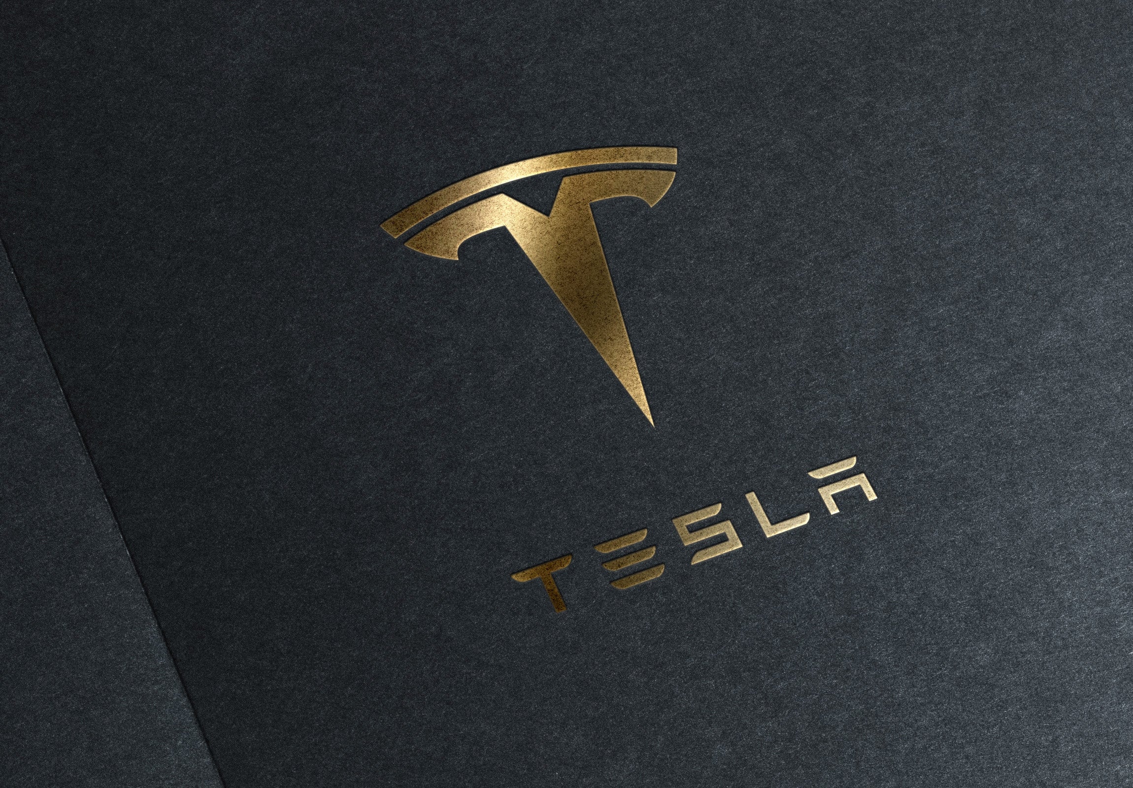 Tesla Long Term Critic Muddy Waters: I'm Not Short The Stock, Thank God