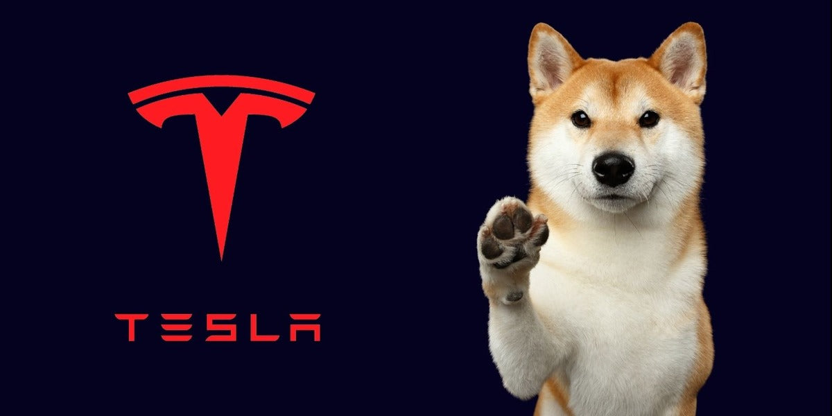 Used Tesla Cars Can Be Bought with Dogecoin & Other Cryptocurrencies, Thanks to Bots Inc.