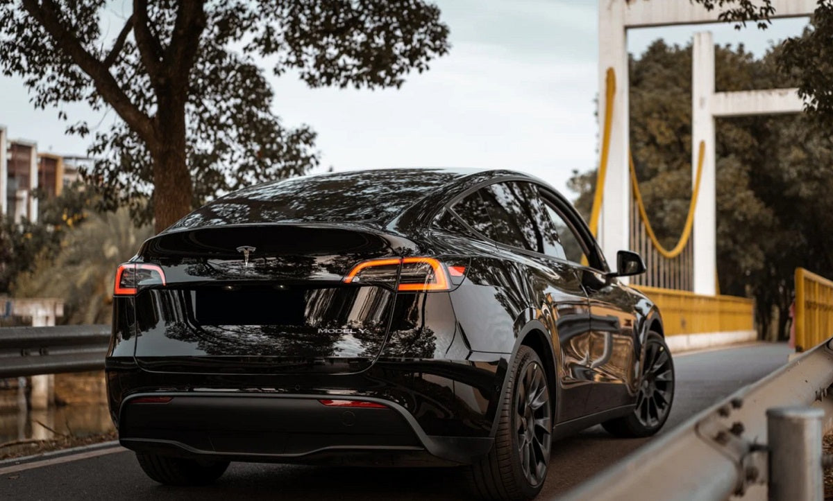 Tesla Model Y Was South Korea’s Best-Selling Imported Car in September
