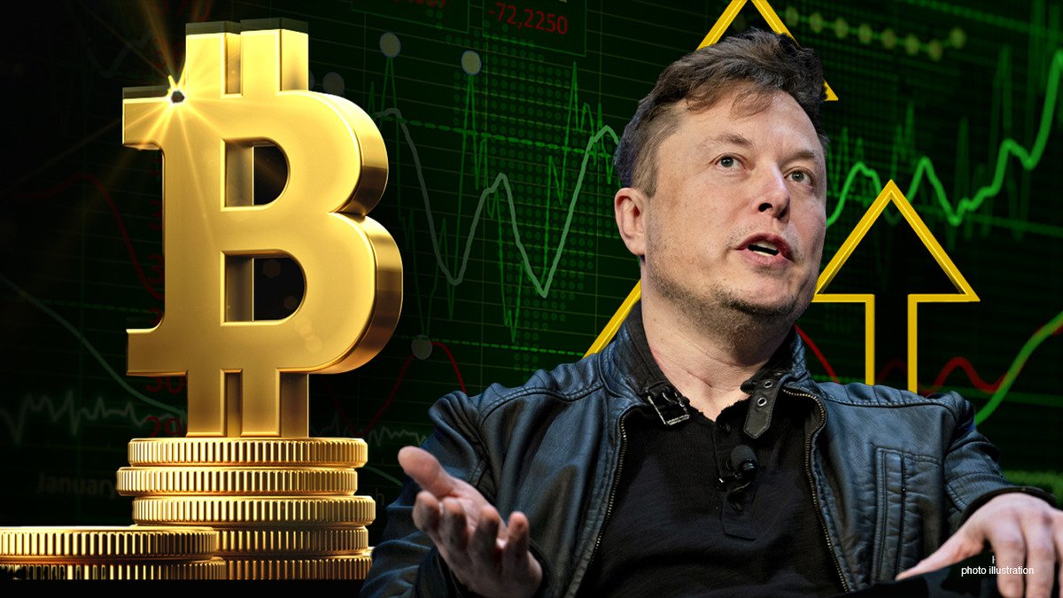 Tesla Is Up About $1 Billion on its $1.5B Bitcoin Investment, Says Wedbush