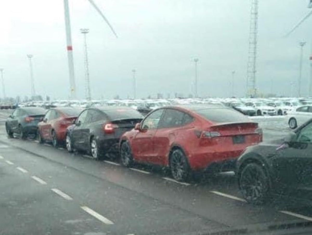Tesla Model Ys Spotted at Port of Belgium in Europe as Giga Berlin Production Nears