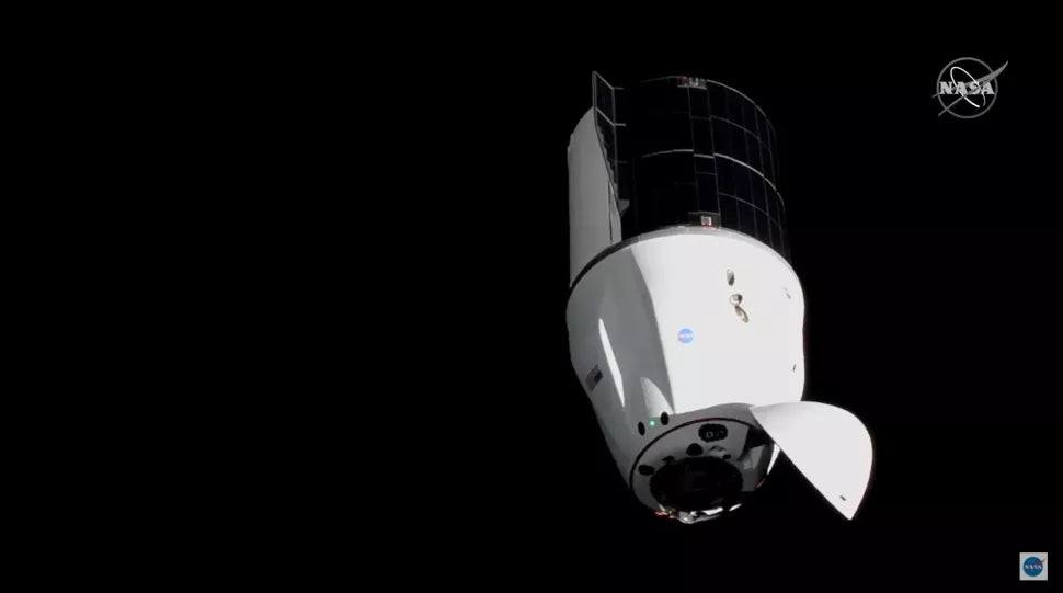 SpaceX's 22nd Dragon Delivers Cargo, Thousands Of Tardigrades & Squids To The Space Station