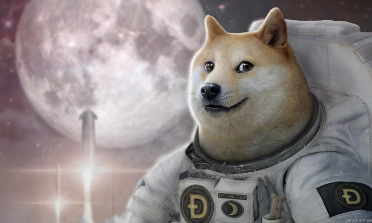 Elon Musk Teases SpaceX Could Start Accepting Doge as Payment for Merch & Starlink