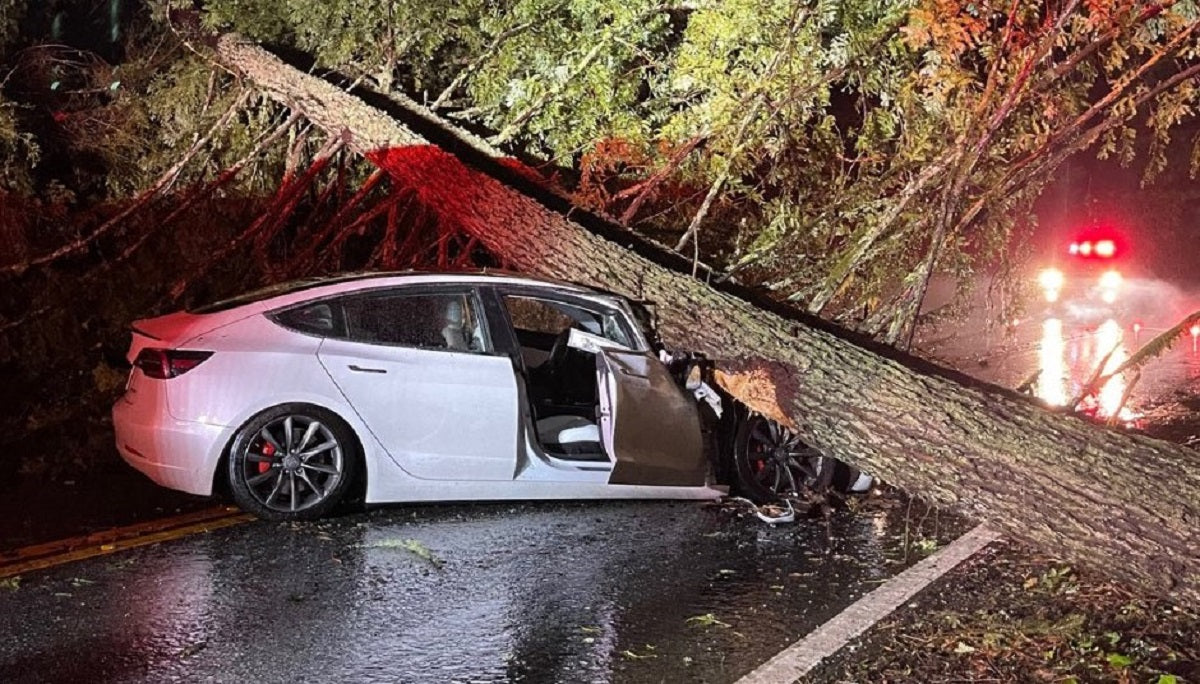 A Tesla Model 3's Windshield & Roof Saved Its Occupants’ Lives After Being Hit by Huge Tree
