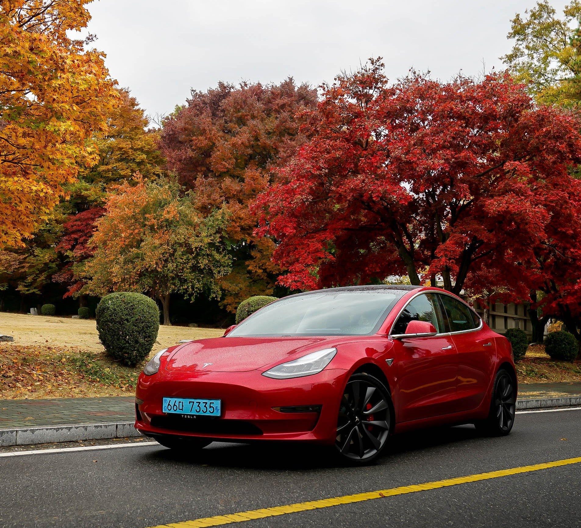 Tesla Model 3 Leads EV Revolution In Korea For The 1st Half Of 2020