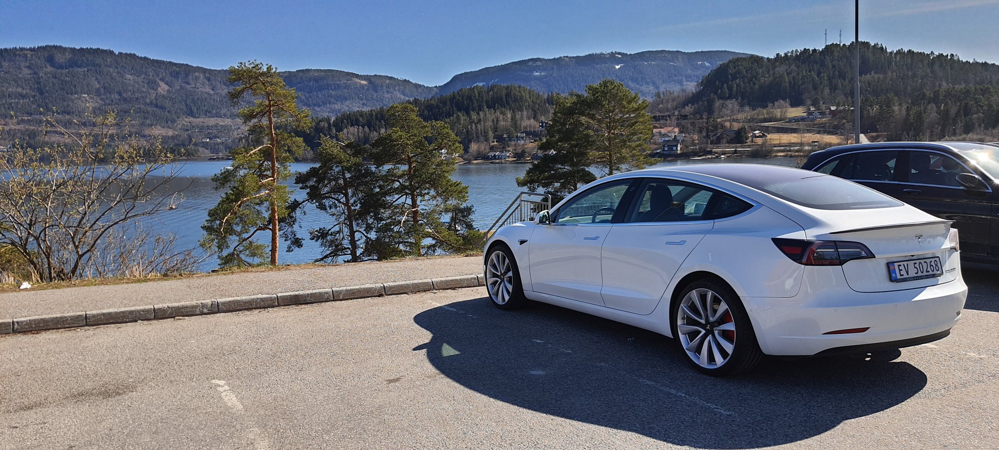 Tesla Has Highest Consumer Loyalty vs Other Car Brands in Norway