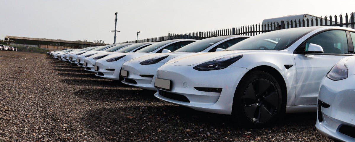Tesla Begins Delivering Cars to Leasing Companies in Israel