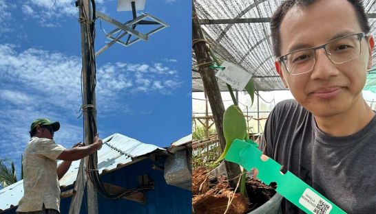SpaceX Starlink satellite Internet enables Smart farming in the Kingdom of Cambodia