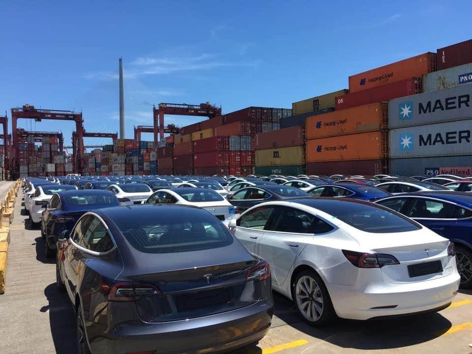 Hundreds of Tesla Model 3s Just Arrived in Hong Kong, Over 1K With The Coming Shipment