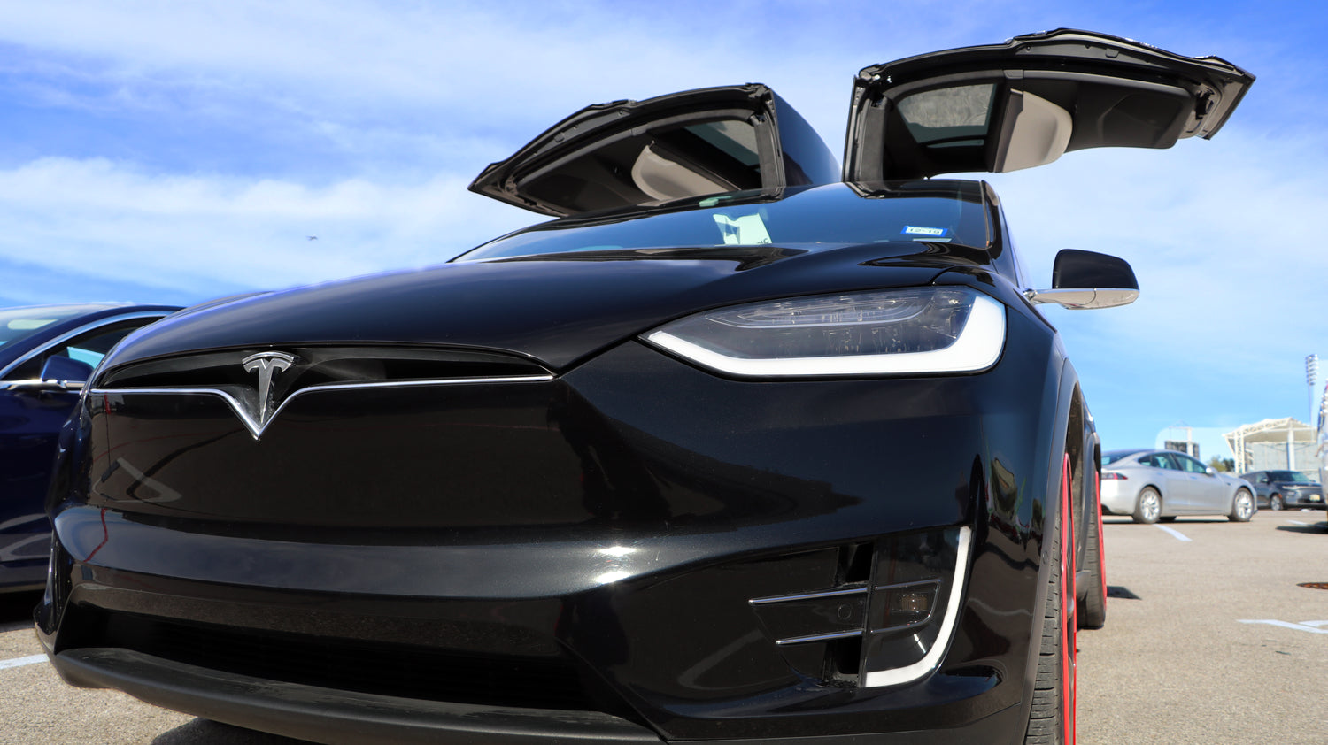 Is Tesla's Stock the Safe Harbor During Pullback?