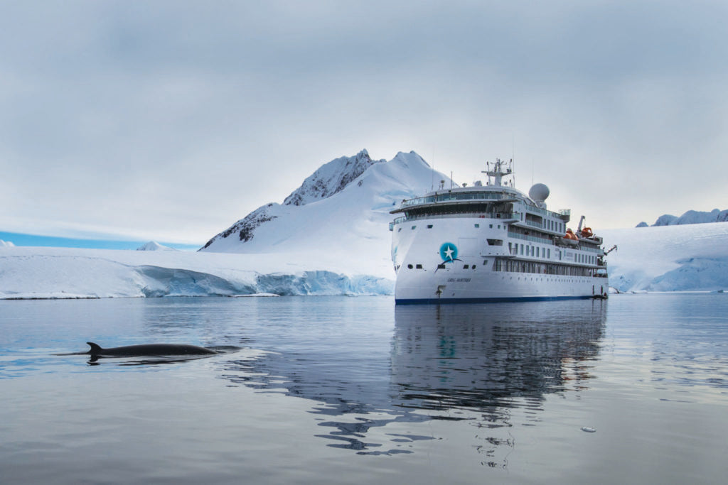 Australia's Aurora Expeditions Offers SpaceX Starlink to Cruise Passengers