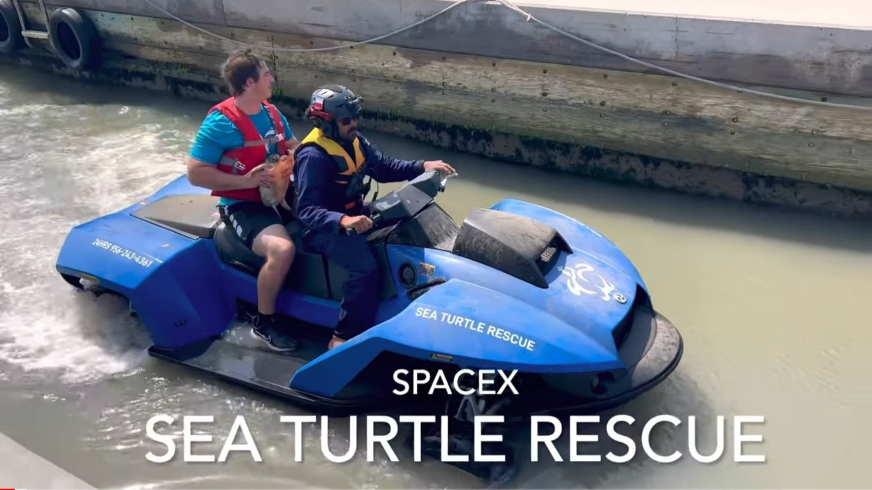 VIDEO: SpaceX’s Starbase Director of Operations Rescues Stranded Sea Turtle At Boca Chica Beach