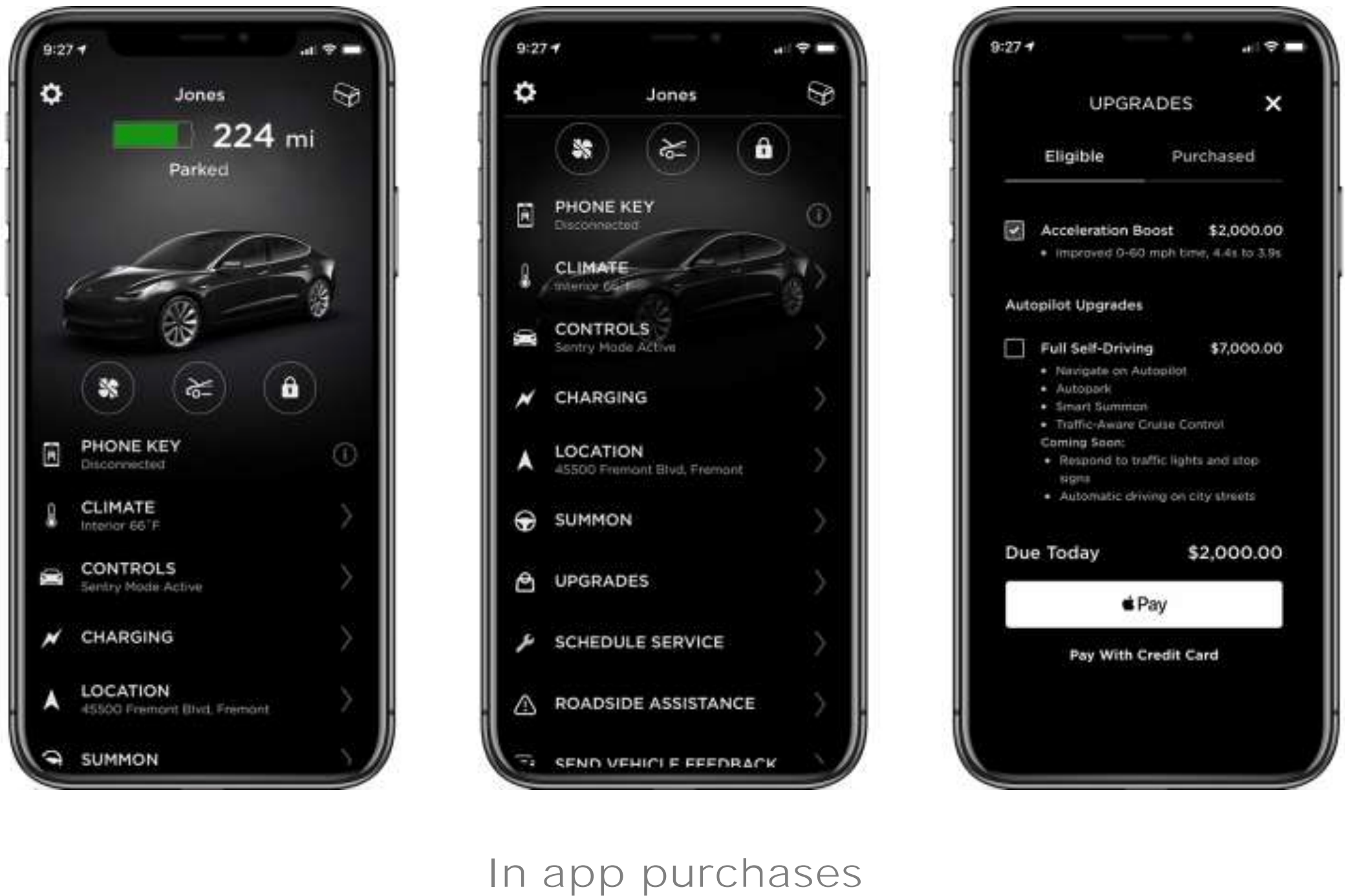 Tesla-Ecosystem-in-app-purchases