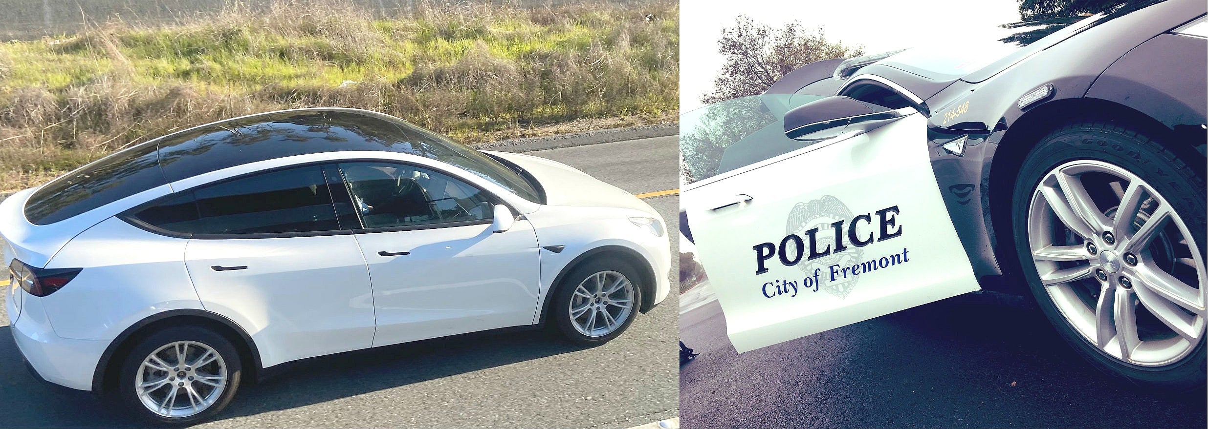 Tesla-Model-Y-Fremont-Police-Department